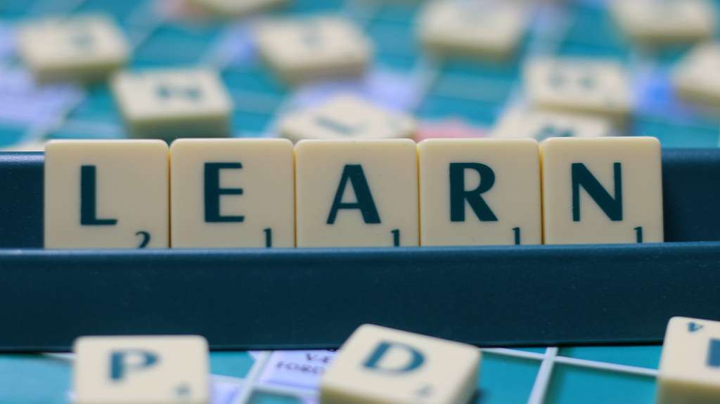 20200318121827_39570228664_01def67e33_b.jpg 20200318121827_39570228664_01def67e33_b.jpg