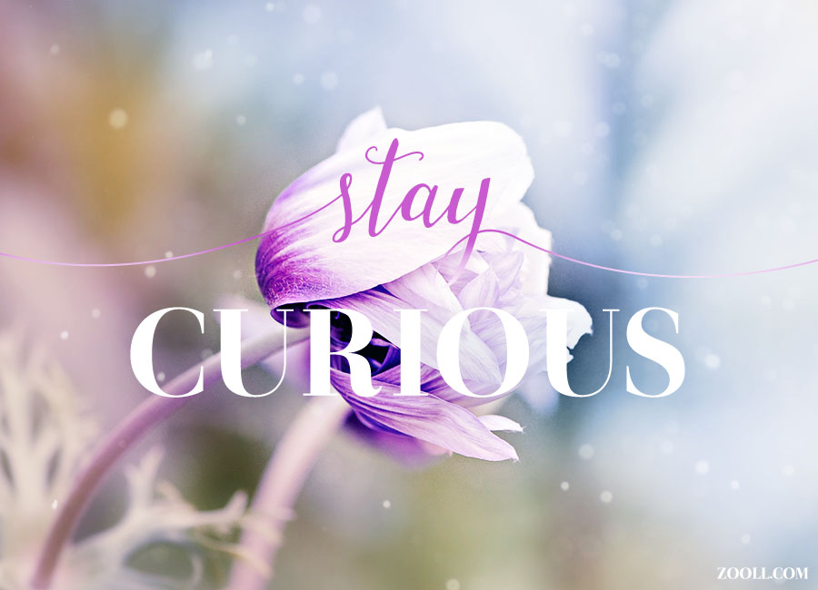 Stay Curious. Stay Curious.