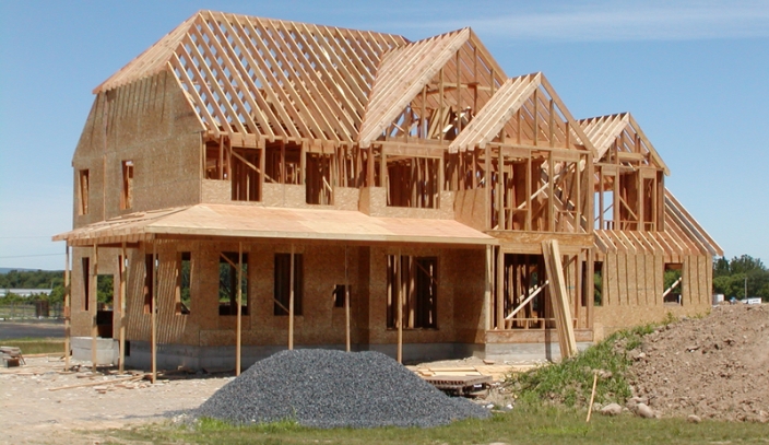 @build-a-birb on Tumblr @build-a-birb on Tumblr