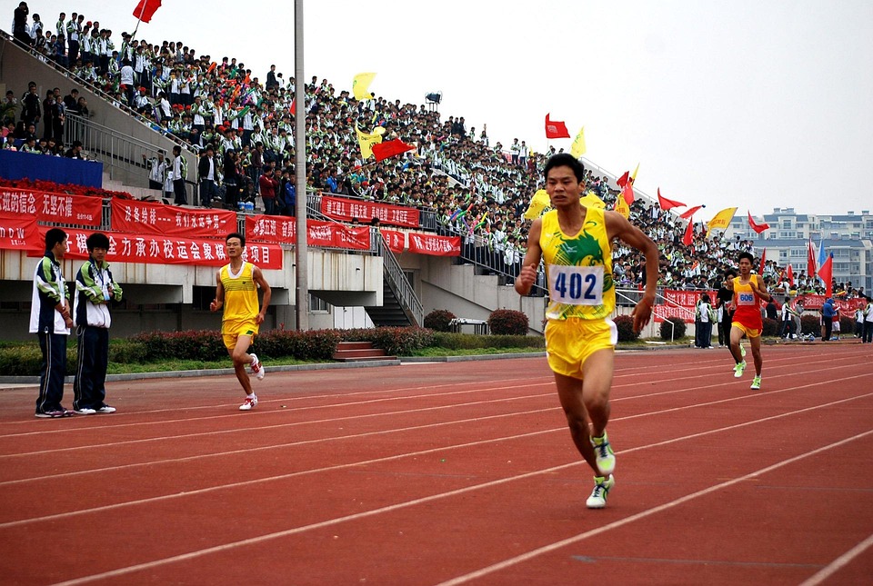 Free Images : nature, forest, outdoor, track, railway, railroad ... Free Images : nature, forest, outdoor, track, railway, railroad ...